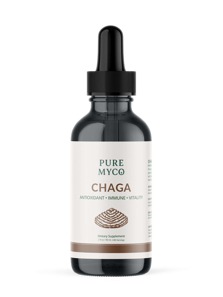 🌟 How Chaga (Inonotus obliquus) Strengthens Immunity, Reduces Inflammation & Supports Vitality