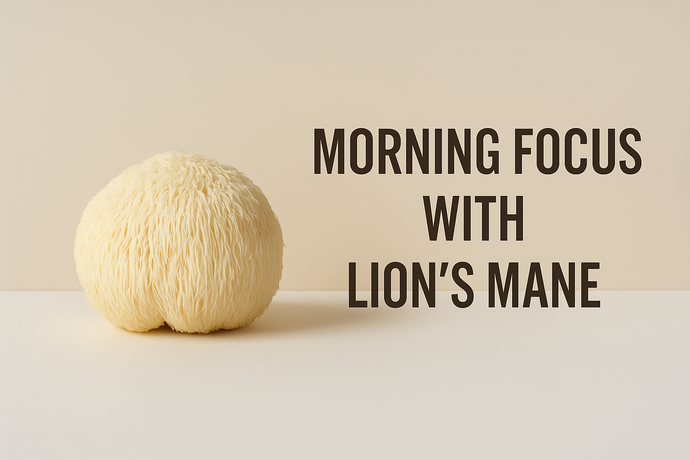 Morning Focus With Lion’s Mane (Without Jitters)