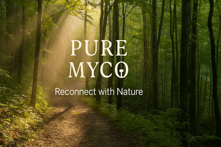 🍄 Welcome to Functional Mushrooms: Your Guide to Lion’s Mane, Cordyceps, Chaga, Reishi, Turkey Tail & Maitake