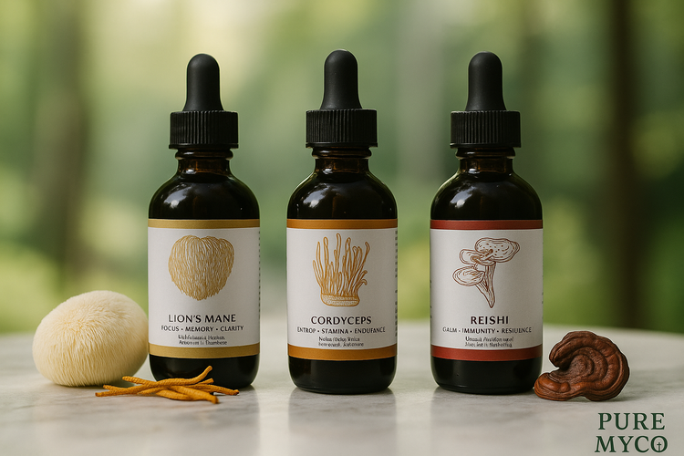 How Functional Mushrooms Can Support Focus, Attention, and Mental Clarity Naturally