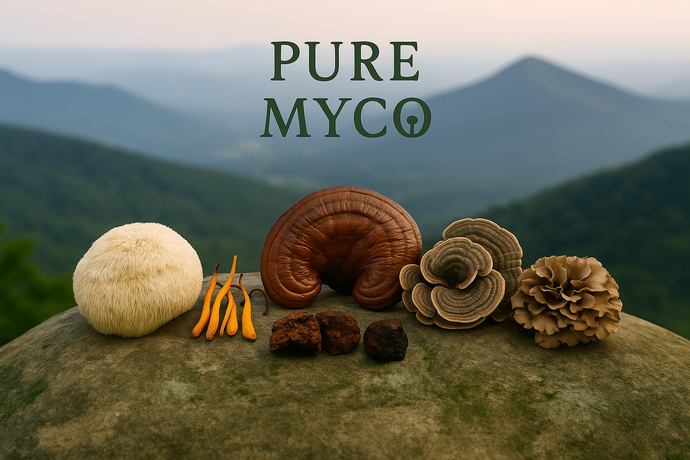 The Beginner’s Guide to Functional Mushrooms: What They Are, Why They Matter, and How to Start