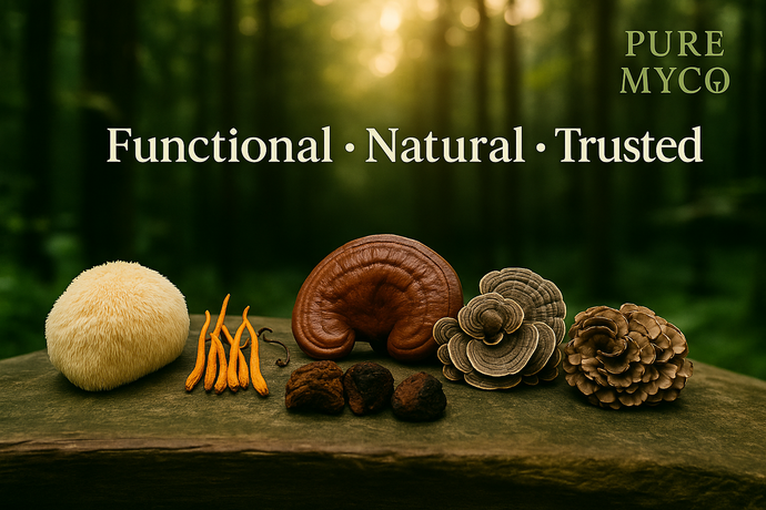 How Functional Mushrooms Can Boost Your Daily Routine: Focus, Energy, Sleep, and Immunity
