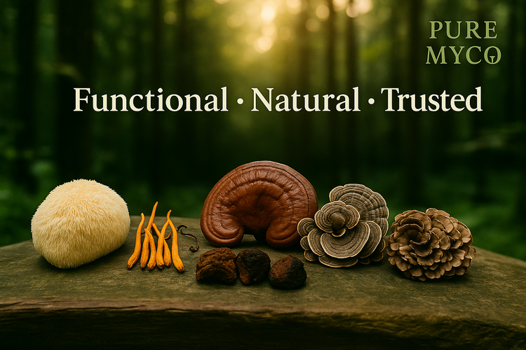How Functional Mushrooms Can Boost Your Daily Routine: Focus, Energy, Sleep, and Immunity