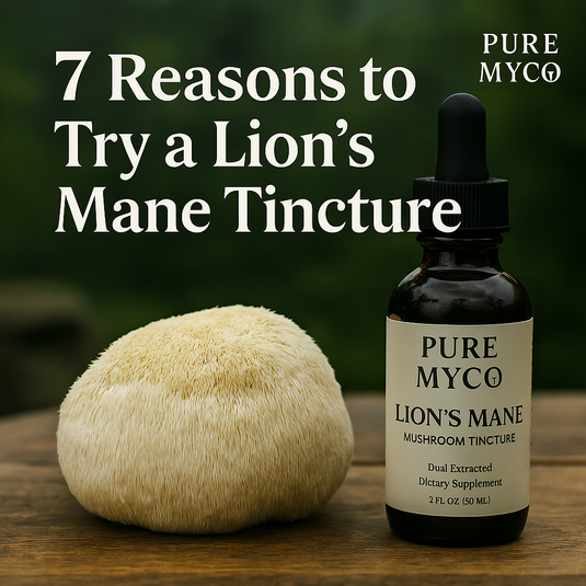 Adaptogens Explained: How Functional Mushrooms Help Your Body Handle Stress Naturally