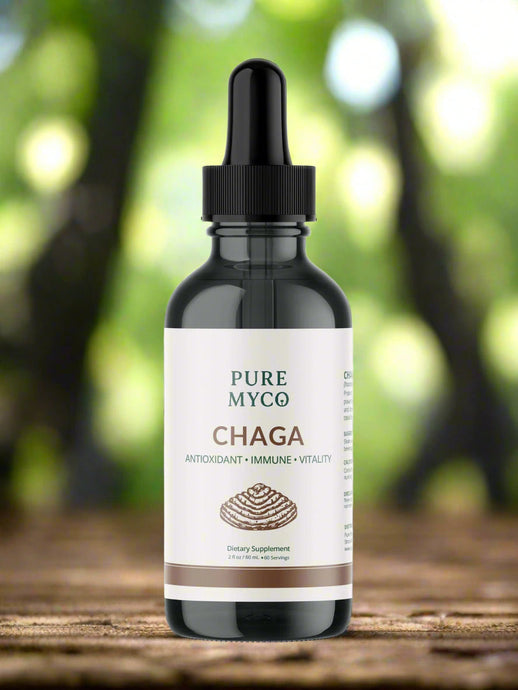 Chaga Tincture