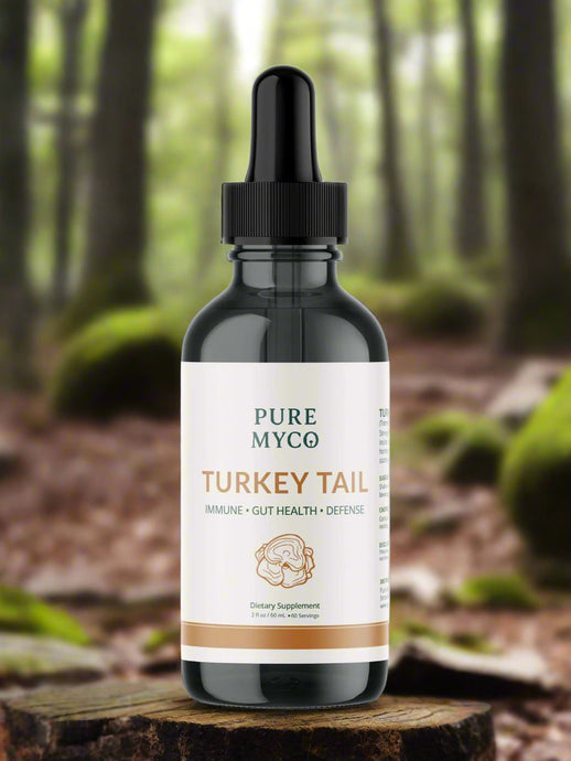 Turkey Tail Tincture